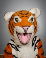 SHASTA_TIGER_0667