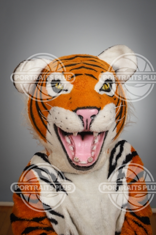 SHASTA_TIGER_0667